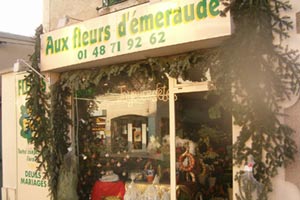 AUX FLEURS D EMERAUDE