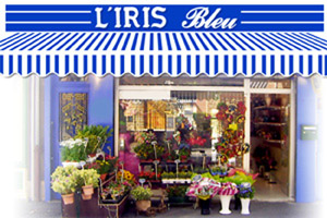 L IRIS BLEU