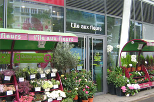 L ILE AUX FLEURS