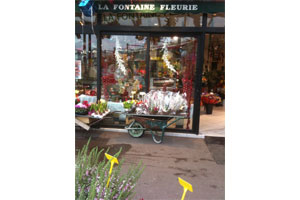 LA FONTAINE FLEURIE