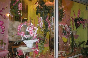 FLORE IN