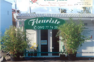 CELINE FLEURS