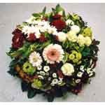 Merveilleuse pi�ce. Que de fleurs ! Magnifiques fleurs!