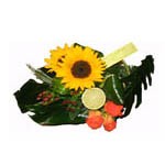 Composition asym�trique  travaill�e dans un contenant avec un travail de fleurs et de fruits de saison. Elle peut �tre r�alis�e dans d�autres couleurs