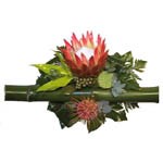 Bouquet asym�trique exotique � base de bambou et d�une fleur unique (Protea) ainsi qu�un travail de feuillage. Il peut �tre r�alis� avec une autre fleur.