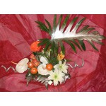 Ref:N19