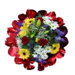 D�clinaison : jaune orang�, rouge et vert, pastel rose, jaune et bleu