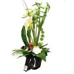 Bouquet lin�aire