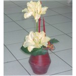 La splendeur, la tenue, ces anthuriums ont tout pour plaire...