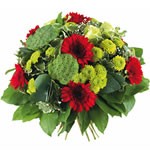 bouquet des fleurs :  ENZO