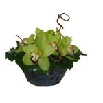 Composition ronde avec orchid�es.