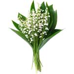 bouquet des fleurs :  EVE