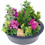 Offrir des fleurs > Echantillon de nature