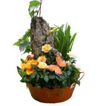 Primev�re, rosier, jonquille, lierre �rig�, (plantes selon saison) accessoire, papillon �corce de bois.