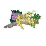 Composition florale
