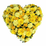 Offrir des fleurs > Coeur compos� de roses jaunes, sallal, calla. (jaune)