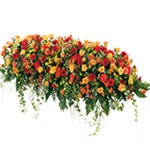 Dessus de cercueil classique compos� de germinis, rose, celosies, astromeria, hypericum, liane lierre, cocos, mini oeillet (tons rouge/orange)