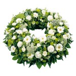 Couronne Plate