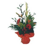 Bouquet compos�.