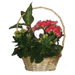 Panier fleurie