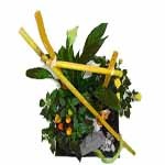 Jardin paysag� de plantes vertes et fleuries.