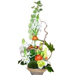bouquet lin�aire  partir de 50 �