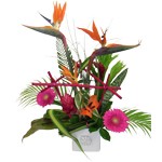 Composition piqu�e � base de fleurs exotiques
� partir de 45�