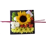 Composition piqu�e dans une assiette en zinc noir compos� au choix avec : roses, tokyo, tournesol, santini, arum...suivant saison � partir de 25�