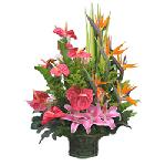 D�couvrez cette ravissante composition aux inspirations asiatiques. Fleurs et feuillage exotiques donnent l'accent � cette cr�ation o� lys roses, anthuriums rouges et oiseaux de paradis sont unis pour former un �clatant ensemble. Ravissez vos proches � distance avec cette composition d'exception.