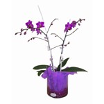 orchid�e d�cor�e travaill�e dans une verrerie, coloris selon arrivage