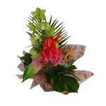 Orchid�e, anthurium, feuille de philo