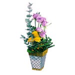 Offrir des fleurs > Agr�able composition toute en finesse et �l�gance o� de magnifiques roses et renoncules s`�vaporrent d`une masse structur�e de piment, de jolies feuilles rondes et de pr�les.