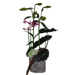 Composition travaill�e dans la hauteur donne beaucoup d effet par son volume et utilise de belles fleurs � caract�re � partir de 35 �