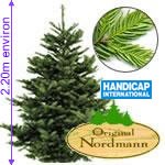 SAPIN NORDMANN 2M20+SAC