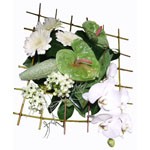 Structure en bois compos� d orchid�e blanche, anthurium vert, ornithogalum, germini blanc et �l�ment vert.
Peut �tre r�alis� dans les tons rose et blanc, mauve et blanc, jaune et blanc ou orange et blanc.