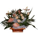 Subtil assemblage de fleurs coup�es et de plante en pot.Cette composition s inscrira dans un d�licat cama�eu de rose pastel, du plus bel effet en mati�re de d�coration raffin�e.