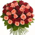 ROSES ROUGES ET ROSES