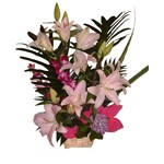 Laissez vous envelopper par le raffinement et l �l�gance du lys oriental blanc, au parfum anvo�tant, au beau volume gr�ce � des tiges de qulit� portant cinq fleurs chacunes, ainsi que par la d�licatesse des dendribiums (orchid�es mauve) et par un d�cor tout en finesse