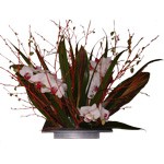 Laissez vous aller � imaginer des fleurs sur un arbre en plein hiver... Quelle d�licatesse