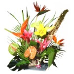 Profitez de formes et de couleurs chatoyantes en plein coeur de l'hiver gr�ce � cet assemblage de fleurs venues de pays lointains