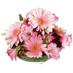 bouquet des fleurs :  LISON