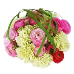 bouquet des fleurs :  ORIANE