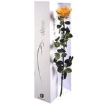 ROSE ETERNELLE JAUNE