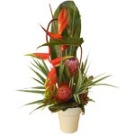 Fleurs exotiques