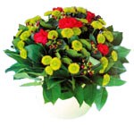 Simple et naturel ! Palette harmonieuse et vert avec une pointe de rouge pour les petits et les grands moments de la vie. A partir de 30 �