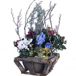 Offrir des fleurs > Jardin d`exterieur dans contenant bois et c�ramique. Skinia, rosier, jacynthe et cyclamen. Feuillage : conif�re et lierre. Accessoires : gravier, pierre et mousse boule.