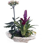 D�couvrez JARDIN D