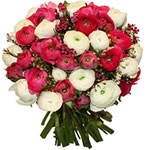 bouquet des fleurs :  TENDRES RENONCULES