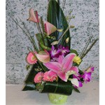 joli m�lange pour ce piqu� qui ravira vos amis pour toutes occasions