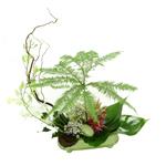 Composition dans une base en c�ramique de couleur.